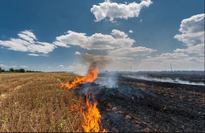 Farmers who do not burn Stubble will get Compensation of Rs. 2500 per acre, Delhi Government also agrees with Punjab Govt proposal ਪਰਾਲੀ ਨਾ ਸਾੜਨ ਵਾਲੇ ਕਿਸਾਨਾਂ ਨੂੰ ਮਿਲੇਗਾ 2500 ਰੁਪਏ ਪ੍ਰਤੀ ਏਕੜ ਮੁਆਵਜ਼ਾ, ਦਿੱਲੀ ਸਰਕਾਰ ਵੀ ਪੰਜਾਬ ਦੇ ਪ੍ਰਸਤਾਵ ਨਾਲ ਸਹਿਮਤ