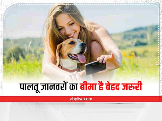 Kaam Ki Baat: घर पर है पालतू जानवर तो जरूर कराएं Pet Insurance, होंगे कई फायदे Kaam Ki Baat: घर पर है पालतू जानवर तो जरूर कराएं Pet Insurance, होंगे कई फायदे