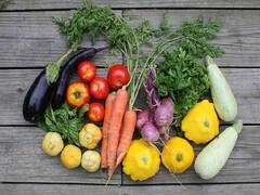 Vegetable Price: எகிறிய முருங்கை விலை.. வெங்காயம், தக்காளி, பீட்ரூட் விலை குறைந்தது.. இன்றைய காய்கறி விலை நிலவரம்..