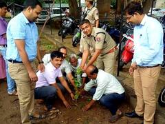 Kota News: अमृत महोत्सव के तहत एक दिन में लगाए गए 31200 पौधे, 156 ग्राम पंचायतों में चला अभियान