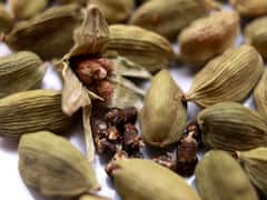 Cardamom Cultivation: जैविक खेती से महक उठेंगे इलायची के बाग, लाखों की कमाई के लिये बरतें ये सावधानी