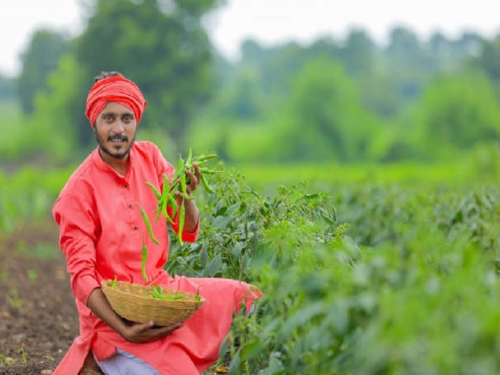 Farming Techniques: मशीन से नहीं, हाथों से करनी चाहिये इन फसलों की कटाई, मिलेंगे फायदे