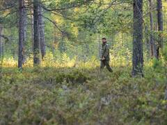 World Ranger Day 2022: History And Significance — Know About Protectors Of Natural Diversity, Landscapes