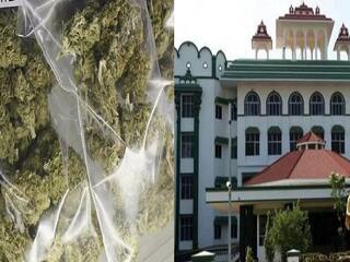 மதுரை: 21 கிலோ கஞ்சா கிடைத்தும் ஆதாரம் இல்லை.. விடுதலையான நபர் - போலீஸ் மீது நடவடிக்கை!