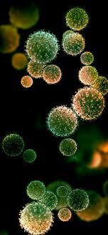 कोरोनाबाधितांचा आलेख घसरला