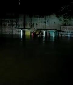 राज्याच्या विविध भागात पावसाची हजेरी