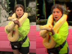 Viral Video: खतरों से खेलती नज़र आईं  Sambhavna Seth, गले में अजगर लिए दिखीं एक्ट्रेस