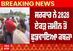 ਕੈਪਟਨ ਦੇ ਫਾਰਮ ਹਾਊਸ ਨੇੜੇ ਭਗਵੰਤ ਮਾਨ ਦਾ ਐਕਸ਼ਨ ਮੋਡ, ਛੁਡਵਾਇਆ 2828 ਏਕੜ ਪੰਚਾਇਤੀ ਜ਼ਮੀਨ ਦਾ ਕਬਜ਼ਾ