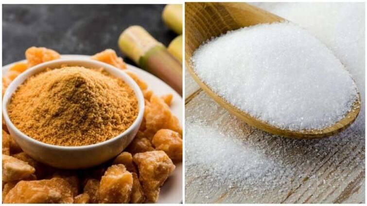 how to use sugar and jaggery to stay fit and healthy to avoid diabetes Jaggery Or Sugar: क्या गुड़ चीनी से अधिक फायदेमंद होता है? क्या शुगर पेशेंट्स चीनी छोड़कर गुड़ खा सकते हैं, जानें