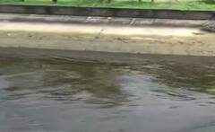 પૂર્વ અમદાવાદને પીવાનું પાણી પૂરુ પાડતી કેનાલમાં નંખાયુ કેમિકલ, પાણી કાળુ પડ્યું