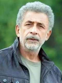 बॉलीवुड ही नहीं Pakistan में भी इन सितारों ने बजाया है अभिनय का डंका, जानें किन फिल्मों में आए हैं नजर