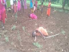 Jharkhand: गढ़वा में वन विभाग की दबंगई, जनजातीय गर्भवती महिला को गार्ड से पिटवाया, CM सोरेन ने मांगी रिपोर्ट 