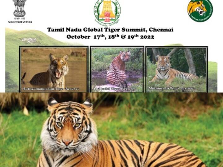 Chennai to host TN Global Tiger Summit in October, says  MK Stalin Global Tiger Summit: சர்வதேச புலிகள் உச்சி மாநாடு தமிழ்நாட்டில் நடக்கிறது - முதலமைச்சர் அறிவிப்பு