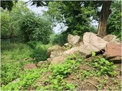 Ayodhya News: अयोध्या में पर्यटकों को नेचर से जोड़ने की तैयारी, इस खास परियोजना का शासन को भेजा गया प्रस्ताव