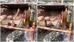 Watch: ਦੇਸੀ ਮਸ਼ੀਨ ਨਾਲ ਚੌਲ ਪੀਹਦੀ ਨਜ਼ਰ ਆਈ ਔਰਤ, ਜੁਗਾੜ ਦੇਖ ਕੇ ਰਹਿ ਜਾਓਗੇ ਹੈਰਾਨ