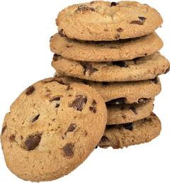 Health Tips: সকাল-বিকেল বিস্কুট খাচ্ছেন? শরীরের ক্ষতি করছেন না উপকার?