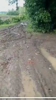 सातारा जिल्ह्यात मुसळधार पाऊस
