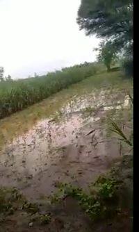 नांदेड जिल्ह्यात मुसळधार पाऊस