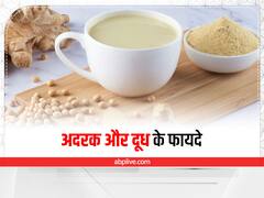 Monsoon Care : मॉनसून की इन समस्याओं को दूर कर सकता है अदरक और दूध
