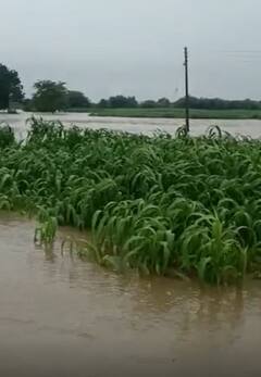 राज्याच्या विविध भागात पावसाची हजेरी