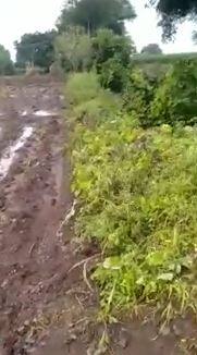 राज्याच्या विविध भागात पावसाची हजेरी