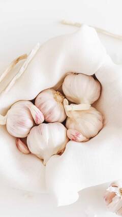 Health Tips : लसूण खाणं आरोग्यासाठी गुणकारी; जाणून घ्या आश्चर्यकारक फायदे