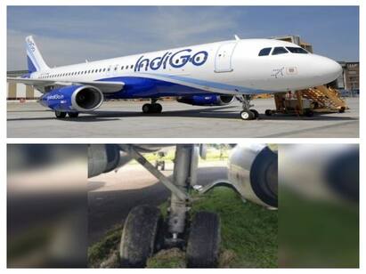 IndiGo Plane Skids Off Runway During Take-Off, Wheel Stuck In Mud IndiGo Plane Skids: ஓடுபாதையைவிட்டு ஓரமாக ஓடிய விமானம்.. சேற்றுக்குள் சிக்கியதால் தடுமாறிய இண்டிகோ!