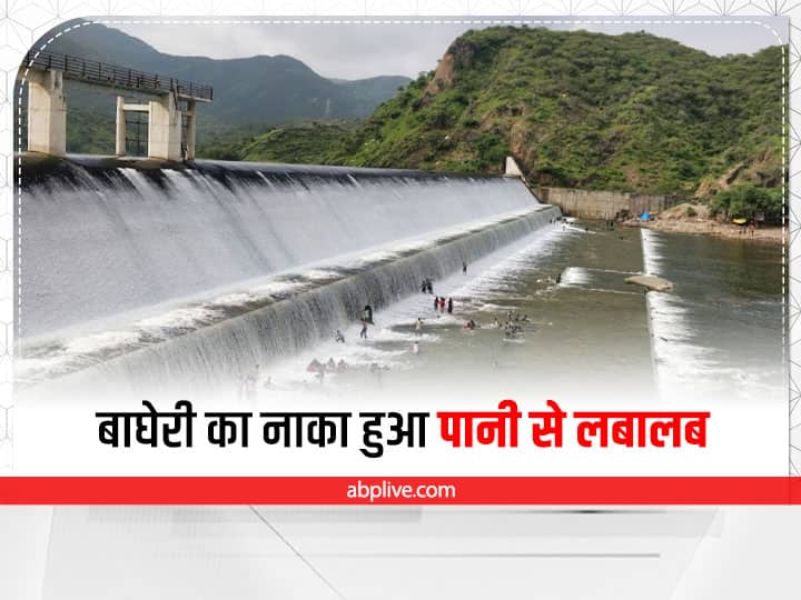 Rajasthan Dams filled with water Rajsamand naka of Bagheri dam water ANN Rajsamand News: राजस्थान में भारी बारिश से लबालब हुए बांध, राजसमंद के बाघेरी का नाका छलकने से ग्रामीणों में खुशी