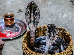 Naag Panchami 2022: Significance, Puja Date, Puja Vidhi, Sarp Dosh Mukti — All You Need To Know