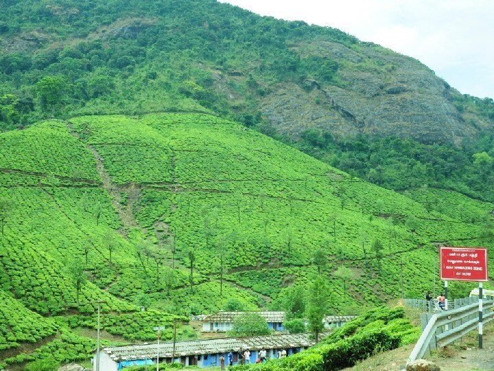 ’வால்பாறை டூர் போறீங்களா?’ - தெரிந்து கொள்ள வேண்டிய சுவாரஸ்யமான தகவல்கள் இதோ..!