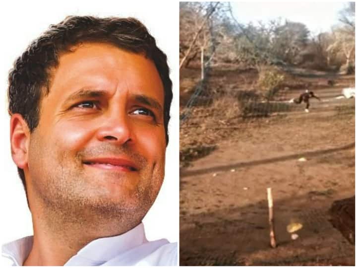 Rahul Gandhi’s tweet changed the fate of young bowler, will get training in this cricket academy Rahul Gandhi’s tweet changed the fate of young bowler, will get training in this cricket academy