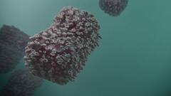 Health News: কী ভাবে বাড়ছে মাঙ্কিপক্স, দেখুন ছবি