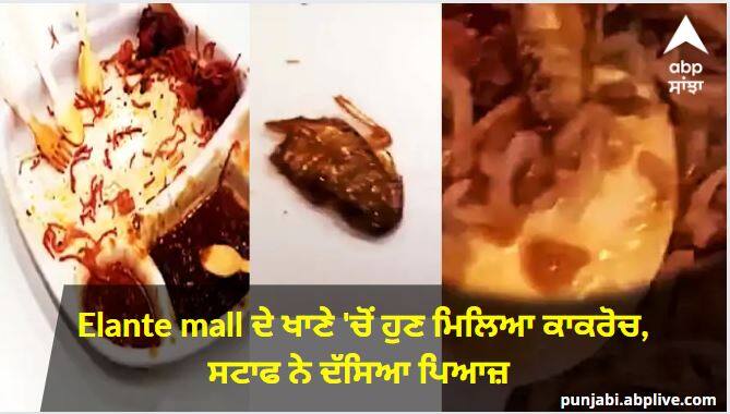 Chandigarh: Cockroach found in the food of Elante food court, staff calls it onion ਛਿਪਕਲੀ ਤੋਂ ਬਾਅਦ ਹੁਣ Elante mall ਦੇ ਖਾਣੇ 'ਚੋਂ ਮਿਲਿਆ ਕਾਕਰੋਚ, ਸਟਾਫ ਨੇ ਦੱਸਿਆ ਪਿਆਜ਼