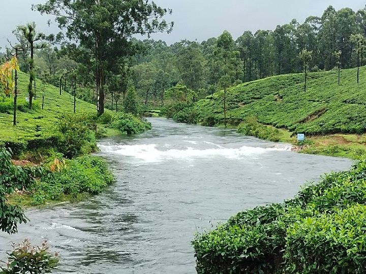 ’வால்பாறை டூர் போறீங்களா?’ - தெரிந்து கொள்ள வேண்டிய சுவாரஸ்யமான தகவல்கள் இதோ..!