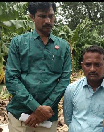 केळी उत्पादक शेतकरी संकटात