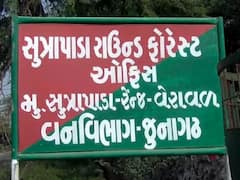 CRIME NEWS : વેરાવળ RFOએ ફોરેસ્ટ કચેરી અને ક્વાર્ટરમાં મહિલા પર 25 વાર બળાત્કાર કર્યાના ગંભીર આક્ષેપ
