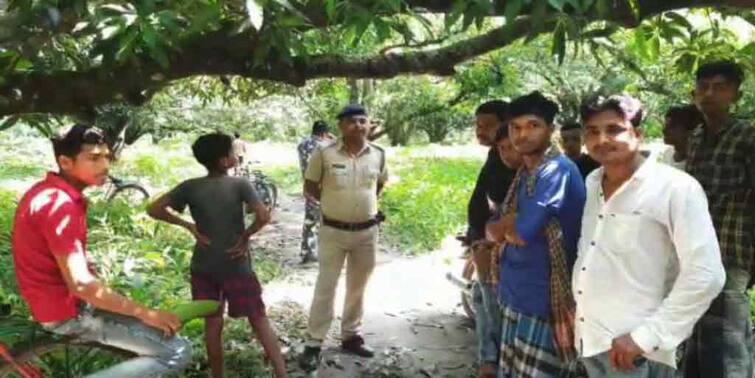 north 24 pargana duttapukur ambagan the body of an unidentified woman was recovered with a noose hanging around her neck North 24 Pargana: গলায় ফাঁস লাগানো অবস্থায় অজ্ঞাত পরিচয় মহিলার মৃতদেহ উদ্ধার