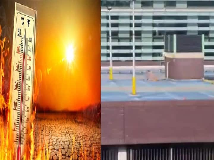 Naked couple filmed having rooftop sex during record heatwave 100 டிகிரி பாரன்ஹீட்.. எரியும் வெயிலில் மொட்டை மாடியில் உடலுறவு! இங்கிலாந்தை அதிர வைத்த ஜோடி!