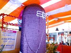 Sawan Shivratri 2022: जानिए- पंचमुखी रूद्राक्ष से बने शिवलिंग की लोकप्रियता, भक्तों की मनोकामना होती है पूरी