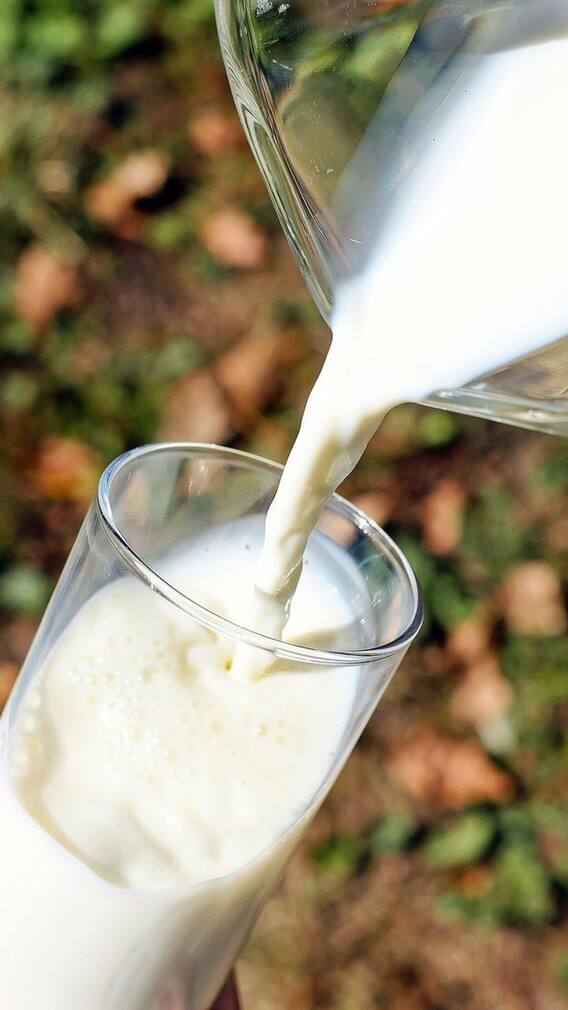 ঘুমের আগে উষ্ণ দুধ, ফায়দা কত জানেন?