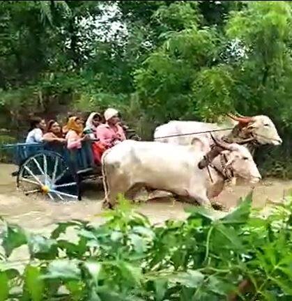 पुराच्या पाण्यामुळं जनजीवन विस्कळीत