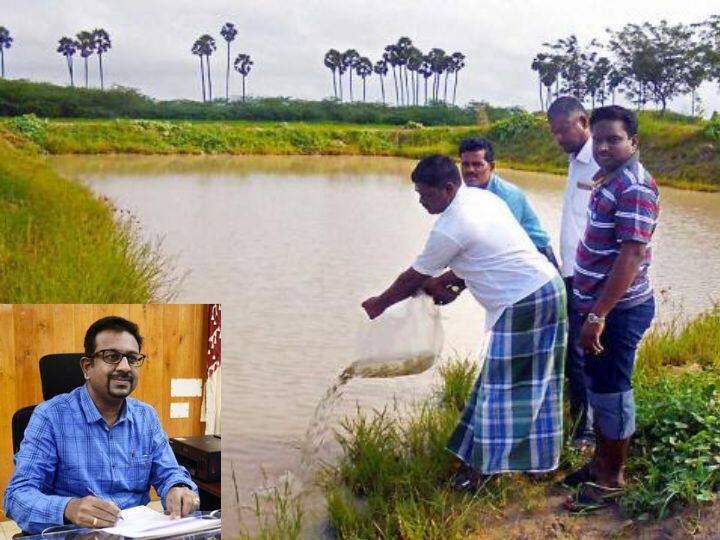 thanjavur: collector announces 50 percent funds for fish ponds in thanjavur தஞ்சை: பண்ணைக்குட்டைகளில் மீன் வளர்ப்பை ஊக்குவிக்க 50 சதவீத மானியம் - மாவட்ட ஆட்சியர் அறிவிப்பு!