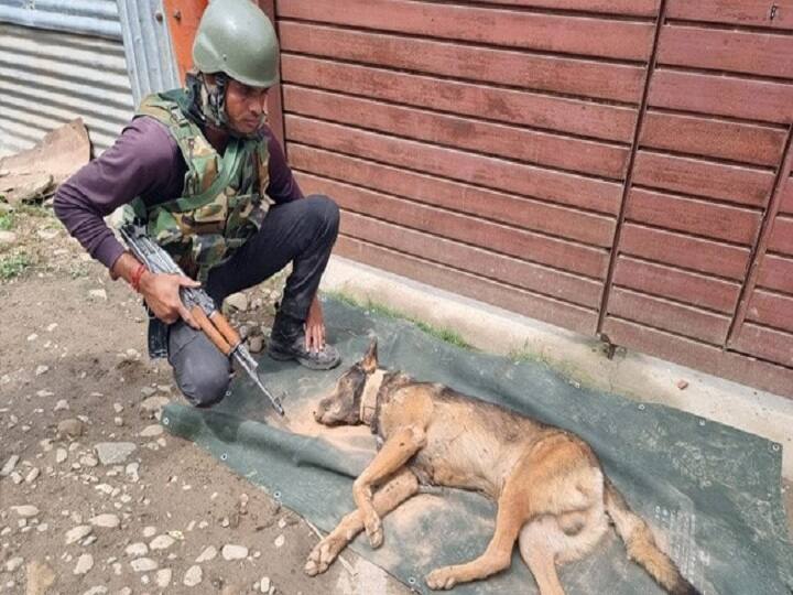 Axel Army Dog Killed During Encounter With Terrorists In Kashmir 3 தோட்டாக்களை ஏந்தி... ராணுவ வீரரின் உயிரை காப்பாற்றிய மோப்ப நாய்... காஷ்மீரில் நெகிழ்ச்சி