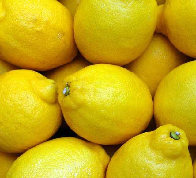 plant will give lemon in the third year ICAR has developed a new species ICAR Research: पौधा लगाने के तीन साल बाद ही नींबू की फसल हो जाएगी शुरू, नई प्रजाति बढ़ा देगी किसानों का मुनाफा