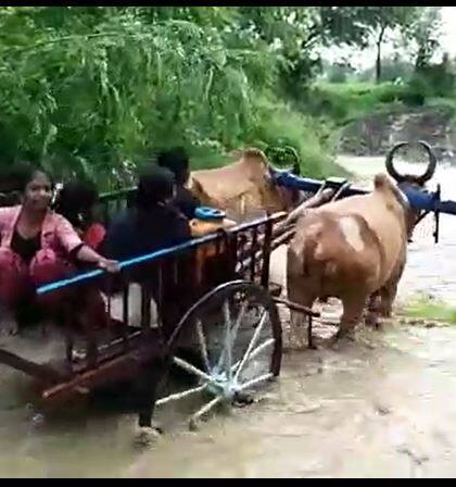 बीड जिल्ह्यात नदी नाल्यांना पूर