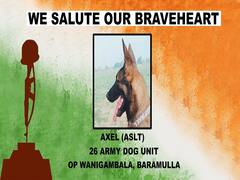 J&K: Army Pays Homage To Dog 'Axel' Who Died During Encounter With Terrorists In Baramulla