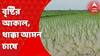 Purba Bardhaman: বৃষ্টির আকাল, আমন চাষে ক্ষতির আশঙ্কা প্রশাসনের। Bangla News