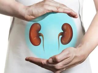 Health Tips : किडनी निरोगी ठेवायचीय? मग, दररोज 'हे' पेय प्या