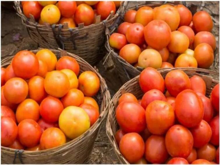 AP Chittoor madanpalle tomato prices dropped very sharply  kilo less than five rupees Tomato Rates Drop : టమాటా ధరలు భారీగా పతనం, కిలో ధర రూ.5 దిగువకు!