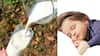 Lukewarm Milk Before Bed: ঘুমোনোর আগে উষ্ণ দুধ, দেখুন কী হয়